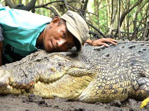 BKSDA Kaltim Batal Evakuasi Buaya Riska karena Dapat Penolakan dari Ambo BKSDA Kaltim Batal Evakuasi Buaya Riska karena Dapat Penolakan dari Ambo