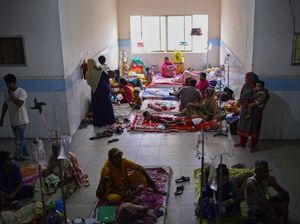 Demam Berdarah Mewabah di Bangladesh, 778 Orang Meninggal