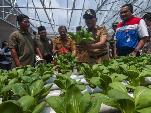 Edukasi untuk Masyarakat Difabel Bisa Jadi Petani dan Peternak