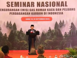 Al Haris Bicara Potensi Karbon untuk Pendapatan Daerah di Jambi