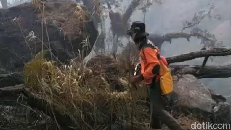 Kebakaran Padam, Water Bombing Gunung Arjuno-Welirang Dihentikan