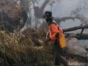Kebakaran Padam, Water Bombing Gunung Arjuno-Welirang Dihentikan Kebakaran Padam, Water Bombing Gunung Arjuno-Welirang Dihentikan
