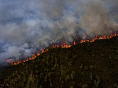 Potret Kebakaran Lahan Gambut di Pedamaran Ogan Ilir