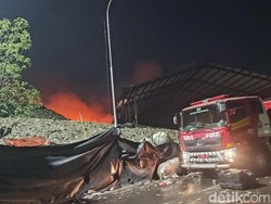 Sederet Fakta Kebakaran TPA Jatibarang Semarang di 2 Zona Berbeda