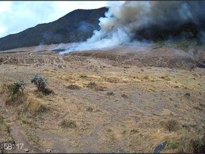 Puluhan Relawan-Polisi Diterjunkan Padamkan Kebakaran Gunung Gede