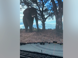 Mengintip Tampilan Layar Film Terbesar di Dunia