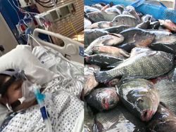 Ngeri! Wanita Ini Hampir Tewas Gegara Makan Ikan Nila