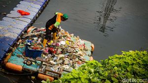 Potret Petugas UPK Badan Air Bersihkan Sampah Kali Angke