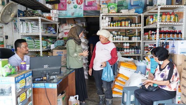 Pupuk Bersubsidi Kini Bisa Dibeli Lewat Aplikasi