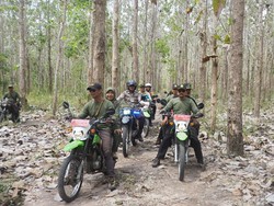 TN Alas Purwo Siaga Kebakaran Hutan