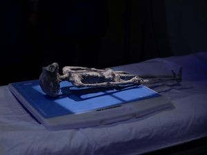 Geger Temuan Jasad Alien di Meksiko Diklaim Bukan Hasil Rekayasa Manusia Geger Temuan Jasad Alien di Meksiko Diklaim Bukan Hasil Rekayasa Manusia