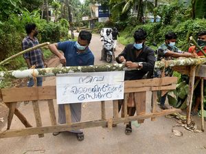 Kemenkes Waspadai Kedatangan Virus Nipah di Pintu Masuk RI
