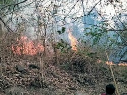 Alang-alang Dekat Sekolah di Sukabumi Sempat Terbakar