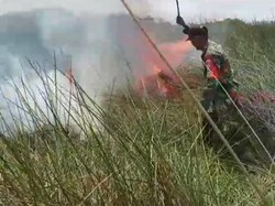 5 Hektare Lahan di Pulau Enggano Hangus Dilalap Si Jago Merah