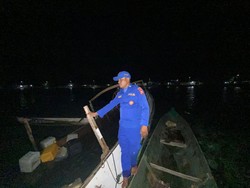 Longboat Bawa Ternak Terbalik di Pulau Taliabu Malut, 10 Kerbau Mati