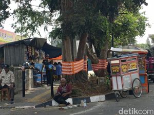 Pohon di Sukabumi Dipasang Kain Oranye, Satpol PP Tertibkan Pohon di Sukabumi Dipasang Kain Oranye, Satpol PP Tertibkan