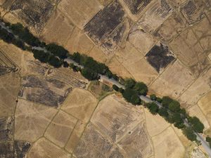 Ratusan Hektare Sawah di Sulsel Mengering Akibat Kemarau dan El Nino