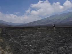 Imbas Kebakaran, Bromo Alami Kerugian PNBP Hingga 40%