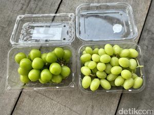Adu Rasa Anggur Muscat Viral VS Anggur Ivory, Mana yang Lebih Juicy?