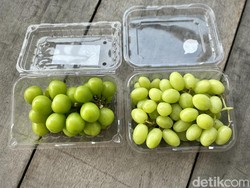 Adu Rasa Anggur Muscat Viral VS Anggur Ivory, Mana yang Lebih Juicy?