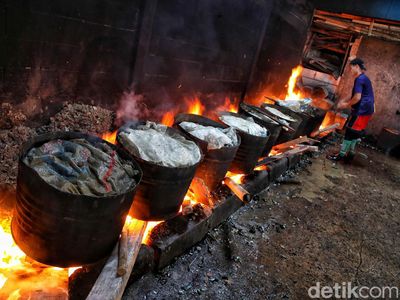 Begini Perebusan Kerang Hijau di Cilincing Jakarta Utara