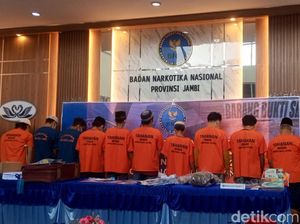 BNNP Jambi Musnahkan 1,1 Kg Sabu-8 Kg Ganja Sitaan 3 Bulan Terakhir