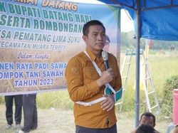 Bupati Batanghari Minta Petani Padi Tak Beralih ke Sawit, Kenapa?