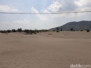 Jadi Fenomena Langka, Gumuk Pasir Parangtritis Punya Kembaran di Meksiko Jadi Fenomena Langka, Gumuk Pasir Parangtritis Punya Kembaran di Meksiko