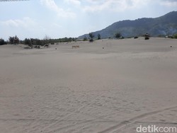 Revitalisasi Gumuk Pasir Parangtritis, Geopark Gandeng Keraton Jogja