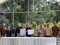 Otorita IKN Bentuk Komite ESG, Ini Anggota dan Tugasnya