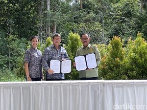 Pulau Kalawasan Seluas 247 Hektare Jadi Pusat Suaka Orangutan di IKN