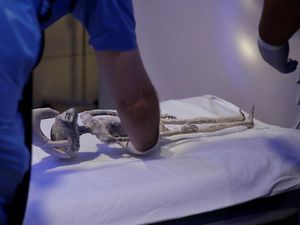 Heboh Jasad Alien di Meksiko Mungkin Asli