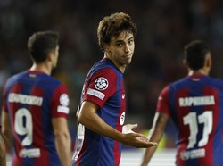 Joao Felix Memang Tidak Cocok dengan Atletico Madrid