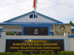 Pemkab Deli Serdang Rehabilitasi Kantor Dinas Perikanan Pakai Rp 1,5 M