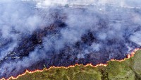 Modus Perusahaan Bakar Lahan: Pakai Petani, Pura-pura Mancing Lalu Dibakar