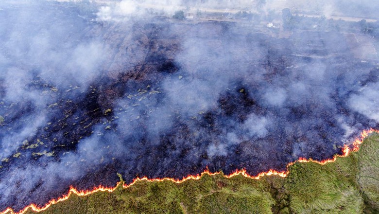 Modus Perusahaan Bakar Lahan: Pakai Petani, Pura-pura Mancing Lalu Dibakar