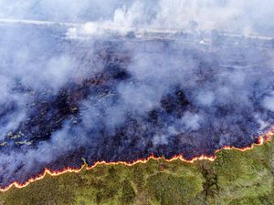 Studi Terbaru: Lebih dari 2,8 Miliar Orang di Dunia Terpapar Polusi Udara Tiap Hari