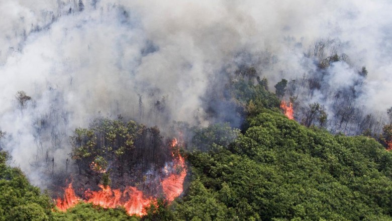 32 Ribu Hektare Lahan di Sumsel Terbakar, OKI Terbanyak