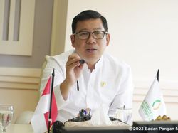 Kepala Bapanas Bicara Peluang Korban PHK Dapat Bantuan Pangan