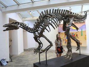 Kerangka Dinosaurus Berusia 150 Juta Tahun Akan Dilelang, Begini Wujudnya
