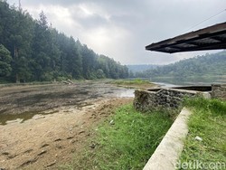 Danau Situ Gunung di Sukabumi Surut Imbas Kemarau