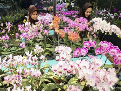 Melihat Pameran Flora dan Fauna di Lapangan Banteng