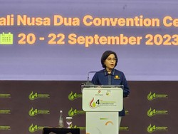 PLN Sebut Pemerintah Punya Utang Rp 60,6 T, Ini Kata Sri Mulyani