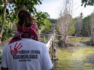 Potret Dampak Kerusakan Akibat Tambak Udang di Karimunjawa