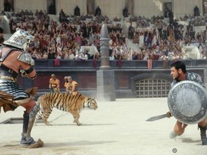 Nasib Singa Malas Saat Hadapi Gladiator Ganas di GBK