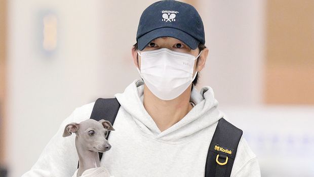 Song Joong Ki Pulang ke Korea Selatan Tanpa Istri, Anjingnya Bikin Salfok