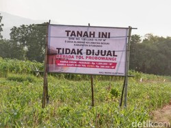 Warga Situbondo Tolak Jual Tanah untuk Tol gegara Dihargai Terlalu Murah