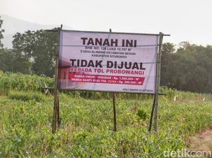 Warga Situbondo Tolak Jual Tanah untuk Tol gegara Dihargai Terlalu Murah Warga Situbondo Tolak Jual Tanah untuk Tol gegara Dihargai Terlalu Murah