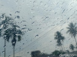 Senangnya Warga Jambi Saat Diguyur Hujan: Semoga Kabut Asap Hilang
