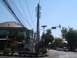 Melepas Ayam di Perempatan, Tradisi Unik Pengantin Palbapang Bantul